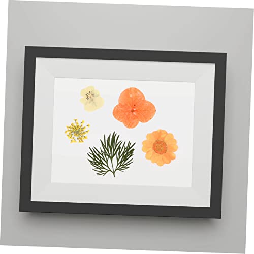 Set de 40 flores secas prensadas para decoración y manualidades miniatura 3