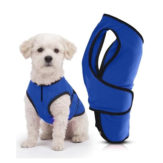 Hundekühlweste für aktive Hunde