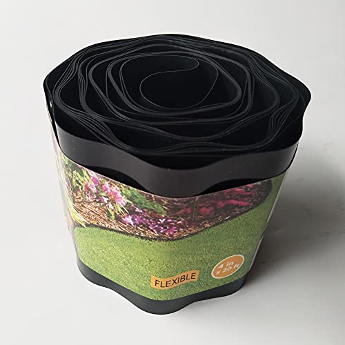 The Best Trees For Driveway Borders 2023 Garden Products