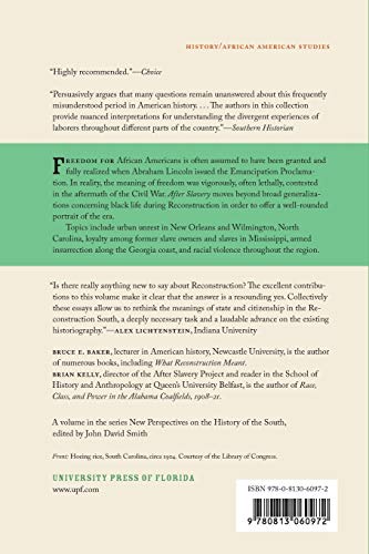 After Slavery: Race, Labor, and Citizenship in the Reconstruction South (New Perspectives on the History of the South) - Image 2