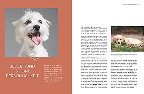 Typgerechtes Welpentraining: Der perfekte Start in die Welpenerziehung – Übungen und Tipps für jeden Welpentyp (GU Welpen)