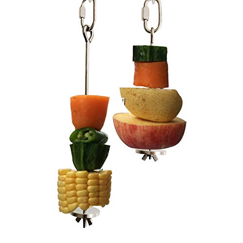 Best Parrot Feeder For Bird Cages