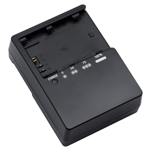 LP-E6 Battery Quick Charger for Canon: Compatible with LP-E6 LP-E6N LP-E6NH LC-E6 LC-E6E Battery for Canon EOS R5 R6 6D 7D 5D 5DS 5DS R 60D 60DA 70D 80D 5D Mark III 90D Mark II Cameras Power Supply