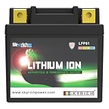Skyrich LFP01 - Batteria