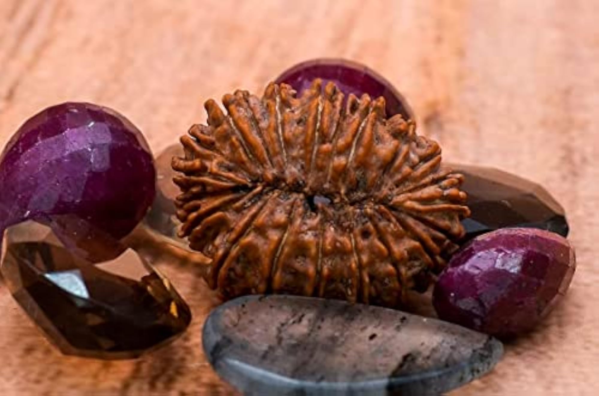 Ekkis Mukhi Rudrakhs Bead Original Certified