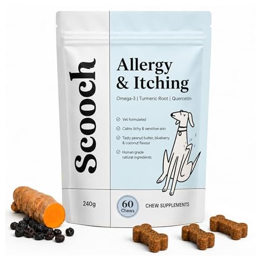 Daily Natural Itch Relief for Dogs