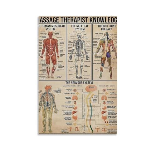 Massage therapy anatomy impression sur toile 50x75 cm pour decoration salon