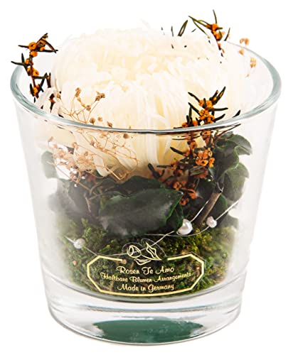 Rosen-Te-Amo 1 konservierte weiße Chrysantemum in der Vase mit echten Bindegrün; Konservierte Rose im Glas: ideal als Weihnachten-Deko 3 Jahre haltbar ohne Wasser Cover