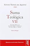 Suma teol&Atilde;&sup3;gica. VII (2-2 q.1-46): Tratado sobre la fe ; Tratado sobre la esperanza ; Tratado sobre la caridad (NORMAL) (Spanish and Latin Edition)