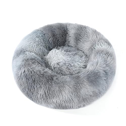 [ADSNS] L ׃bh  100 xbh ʔN J[21 ~ ی^ ybgxbh ӂӂ  ObY ΍ ۉh 􂦂 ϊ ~ ybgNbV 킢 L  p ybgpi ې _炩 ۉh