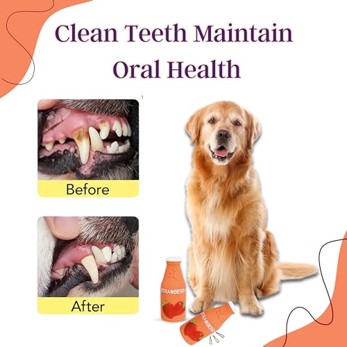 Image of Foodie Puppies Natural Latex Squeaky Play Drink Chew Toy - (Strawberry Juice Toy) for Small to Medium Dogs | Durable, Interactive, Fetch & Chew Safe Play Toy | Reduce Separation Anxiety