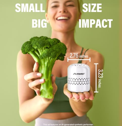 Image of Fridge Deodorizer,Lasts Up to 10 Years,Stainless Steel,Ceramic White