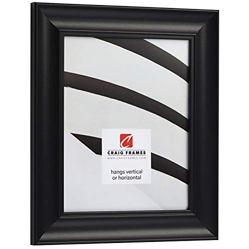Craig Frames Vintage Revival Satin Black Frame, 16x20 Inch