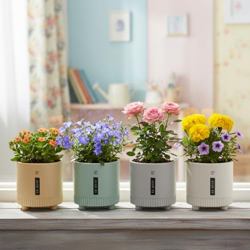 Image of Xtore Elegant Ribbed Ceramic Planter Set for Indoor Plants | Modern Minimal Desk & Shelf Pots with Raised Base (Pack of 4, Planter only)