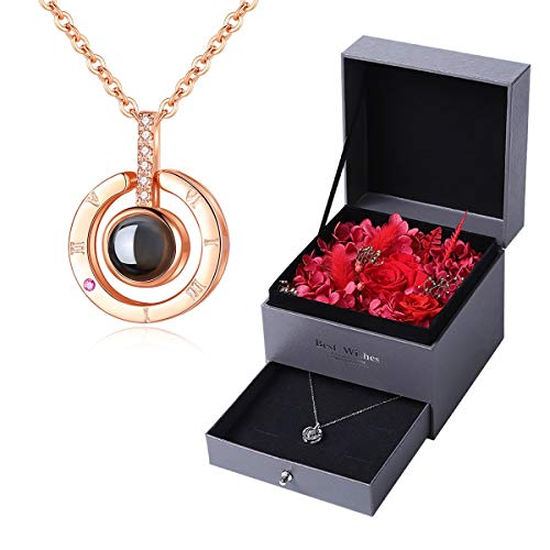 Qwhome Un Cent Je t'aime Collier, 100 Langues Coeur Amour Collier Amour mémoire Pendentif Collier pour Femmes Bijoux fête des mères Cadeau,Brass