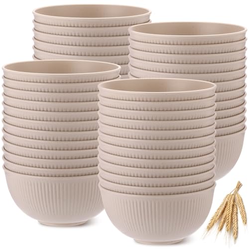 Eccliy 24 Pcs Unbreakable Cereal Bowls 24oz Lightweight Reusable Plastic Bowls for Kitchen Wheat Straw Fiber