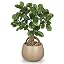 Green Bay&brown Speckled Matte Pot