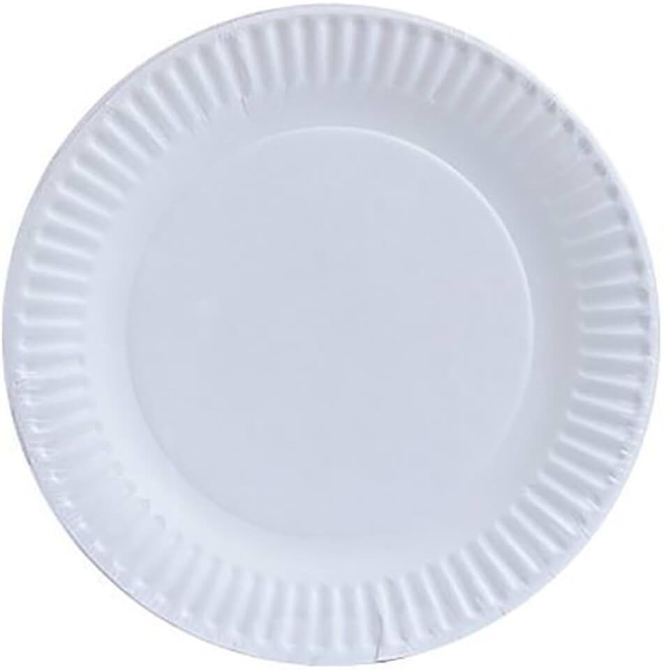 Amazon.ca paper plates bulk