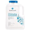 SpaGuard Spa Chlorinating Concentrate - 5 Lb - Image 3