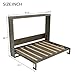 Bellemave Queen Size Vertical Murphy Bed for Small Space, Foldable Bed Cabinet with Built-in LED Lights, Wall Bed with Desk, Hydraulic Lift Mechanism & Sturdy Slats Support, Brown