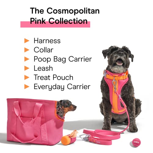 Wild One, Limited Edition, Designer Collection, Pink Dog Collar, Easy-Clean, All Weather Flex-Poly Strap with Metal, Durable, Dirt and Odor Resistant, Small - Thumbnail 7