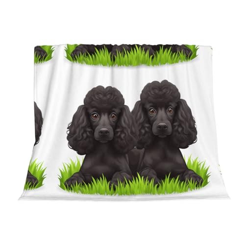 Couverture caniche 152x127 cadeau idéal pour amoureux des chiens - 4