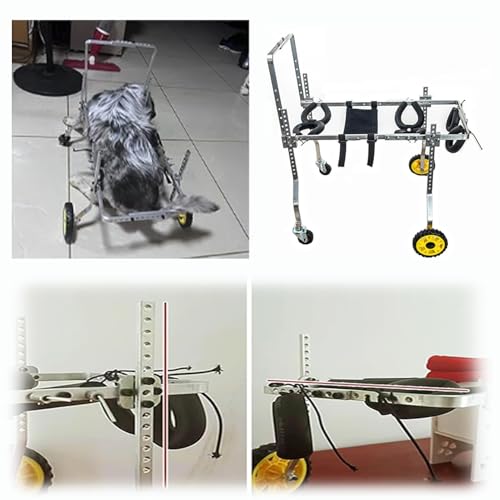 Silla de ruedas para perros pequeños, medianos y grandes con soporte ajustable