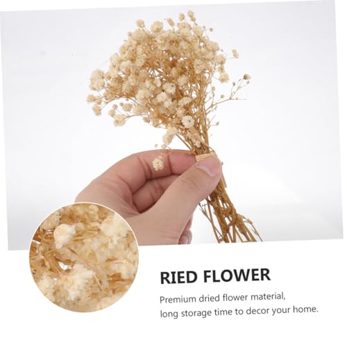 Ramo mini de flores secas Natural Babys Breath 6 piezas miniatura 3