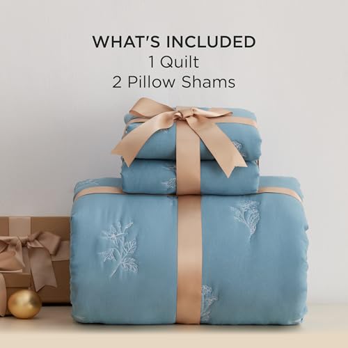Image of Bedsure Cloud Quilt Queen Size, Botanical Floral Quilt for Modern Farmhouse Bedding, Super Soft Bedspread Queen Size, Blue Lightweight Comforter 90x96 Inch