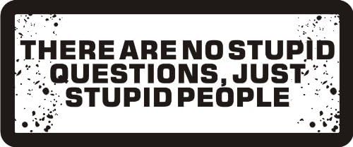 3 - There are No Stupid Questions, Just Stupid People 1 1/4" x 3" Hard Hat Biker Helmet Stickers Bs545