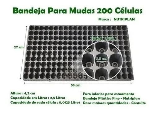 40 Bandejas Para Produção De Mudas Sementeira 200 Células.