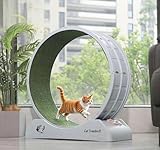 31.5 Inch Cat Exercise Wheel, Cat Treadmill for Health & Fitness, Cats Wheels Indoor Running Exercises Toy for Kittens (Grey)