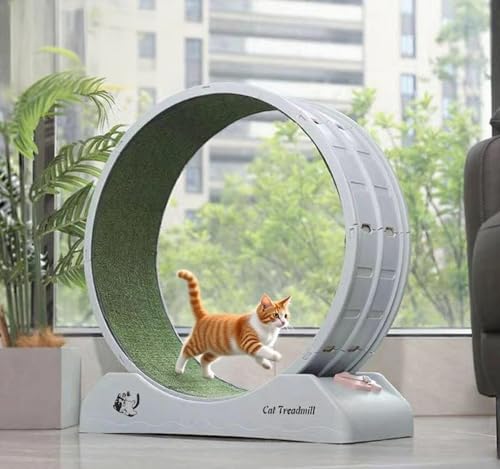 31.5 Inch Cat Exercise Wheel, Cat Treadmill for Health & Fitness, Cats Wheels Indoor Running Exercises Toy for Kittens (Grey)