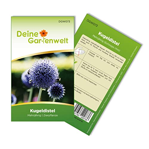 Kugeldistel Samen - Echinops ritro - Kugeldistelsamen - Blumensamen - Saatgut für 30 Pflanzen