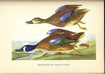 Hardcover Audubon, with 12 Colored Plates from Original Audubon Prints Book