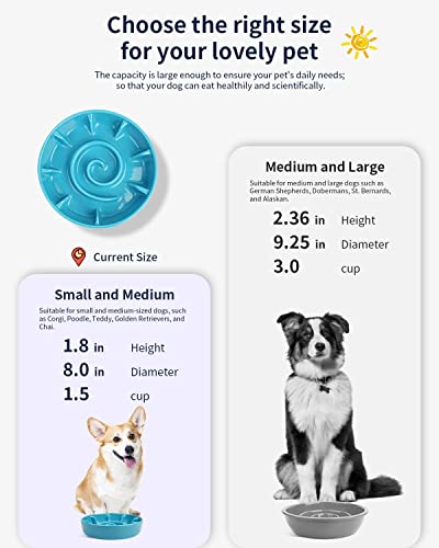 Kofpar Ceramic Slow Feeder Dog Bowl, Dog Bowl Slow Feeder Small Medium Large Breed, Anti-Gulping, Improve Pets Digestion, Healthy Eating Habit, Prevent Dogs From Overeating, Non-Slip Easy To Clean 8In #TOP6