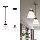 WISBEAM Pendant Lighting Fixture with Oil Rubbed Bronze and Brass Finish, Hanging Lights with One Medium Base Max. 60 Watts, ETL Rated, Bulbs not Included, 2-Pack