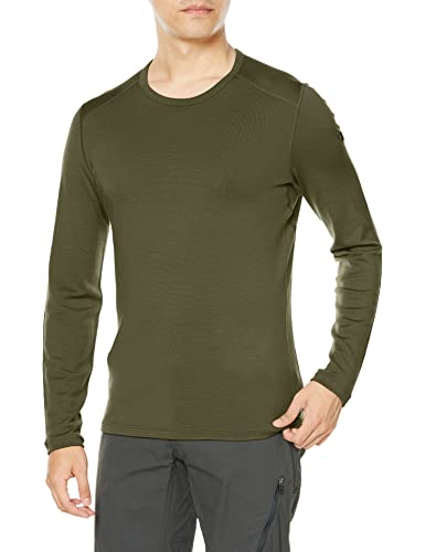 [アイスブレーカー] 長袖カットソー メンズ 260 テック ロングスリーブ クルー メリノウール フラットシーム 【FW22】 ローデン L