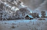 5. Es muy adecuado para la decoración del hogar y el mejor regalo para familiares y amigos. Esta es una buena opción como regalo para Navidad, Acción de Gracias, Año Nuevo, cumpleaños u otros días importantes.