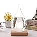 FOXKEY Creative Stylish Desktop Drops Storm Glass Crafts Weather Bottle Forecast Bottle Barometer for Birthday Christmas Unique Gift (Large)