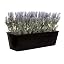 45cm Black