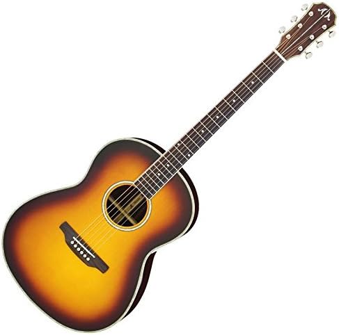 ARIA MSG-02 BS Meister Acoustic Guitar
