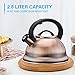Alpine Cuisine Stovetop Tea Kettle, 2.95-Quart, Copper with Black Color, Modern Design, Premium Stainless Steel, Loud Whistling, Heat-Resistant Bakelite Handle, Induction Compatible, 2.8 Liters