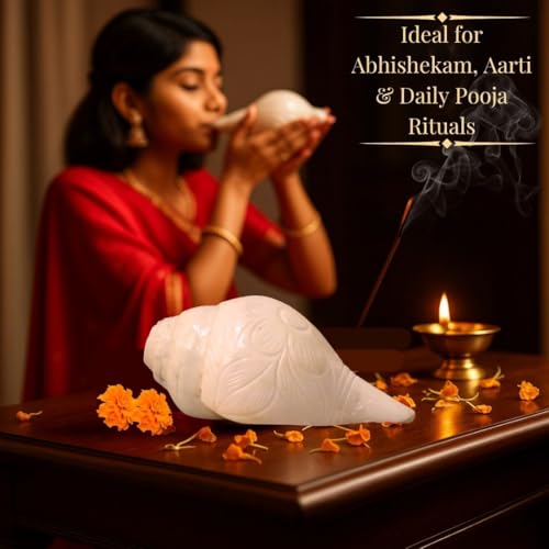 Image of Vamavarti Original Loud Blowing Shankh,Conch For Pooja - 6 to 6.5 Inch (Quality Matters) Quality assured by Om Gange Weight 300 to 450 gms +- 20 Gms (As this is Natural)