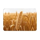 YTUOPWE Felpudo de 40,6 x 61 cm, diseño de campos de trigo dorado, absorbe el agua, antideslizante, para puertas delanteras, entradas y baños
