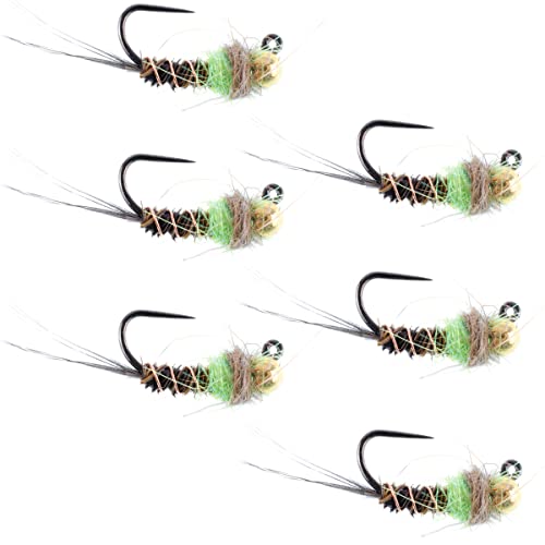 The Fly Fishing Place Tungsten Bead Hot Spot Pheasant Tail Tactical Jig Chartreuse Czech Nymph Euro Nymphing Fly - 6 Flies Size 16
