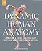 Dynamic Human Anatomy: An Artist's Guide to Structure, Gesture, and the Figure in Motion