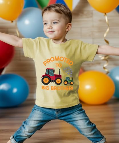 Big Brother T Shirt for Baby Boys Cotton T-Shirt Short Sleeve Tops Toddler Baby Announcement Tees Outfits 1-7 Years3