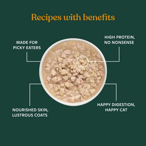 Made By Nacho Premium Wet Cat Food Grain-Free Pate Cans (Chicken, Salmon, Turkey And Kitten) (Pate Variety Pack, 3 Ounce) #TOP2