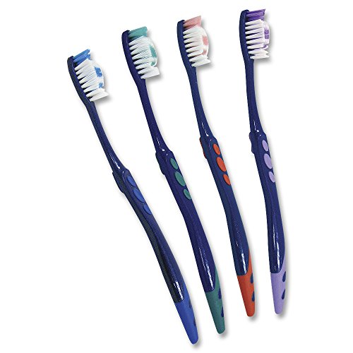 Amazon.com: Dr. Fresh Pre-Pasted Toothbrush (72) : Health &amp; Household